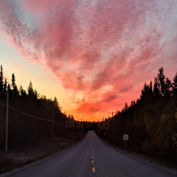 Meet your Posher, Lina - Picture 1 of 1